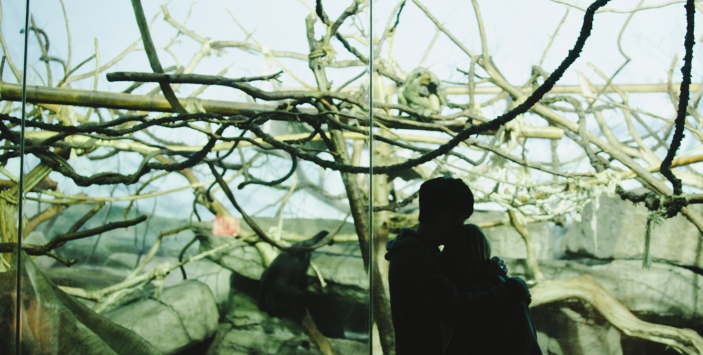 Kim Shaw and David Dastmalchian in Colin Schiffli's "Animals"