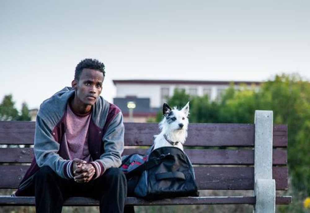 Barkhard Abdirahman in "A Stray"