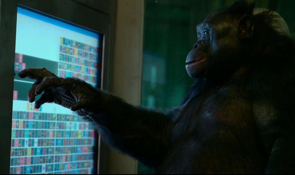 A scene from "Unlocking the Cage"