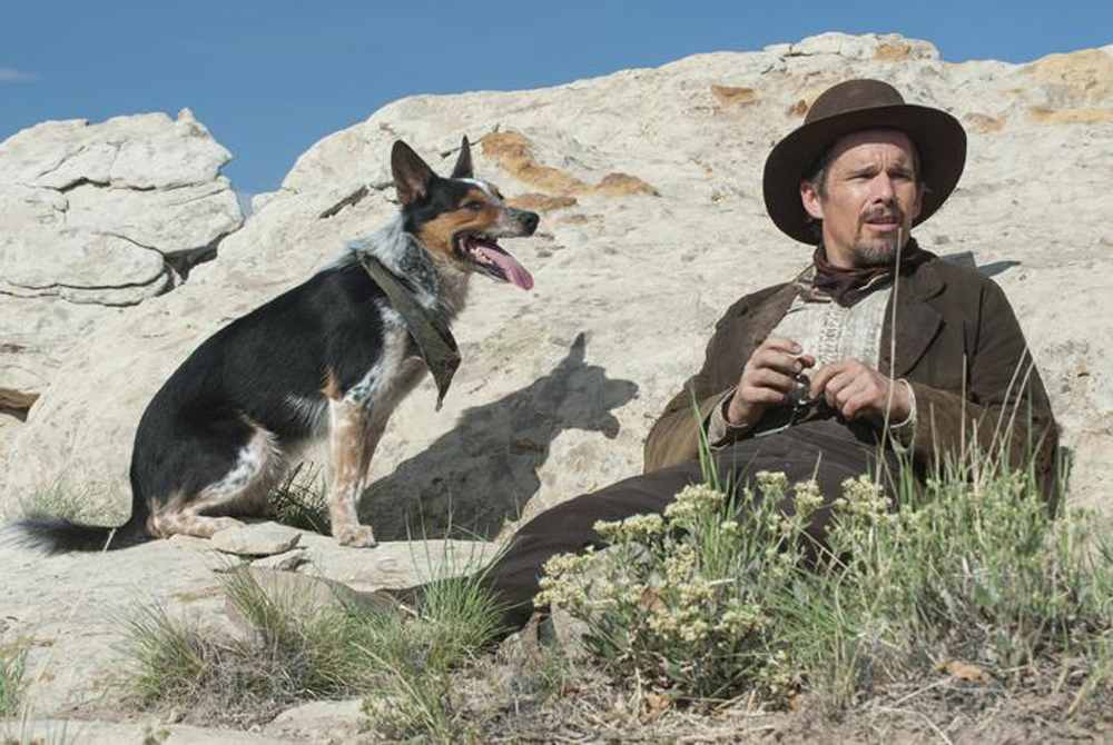 Jumpy the Dog and Ethan Hawke in "In a Valley of Violence"