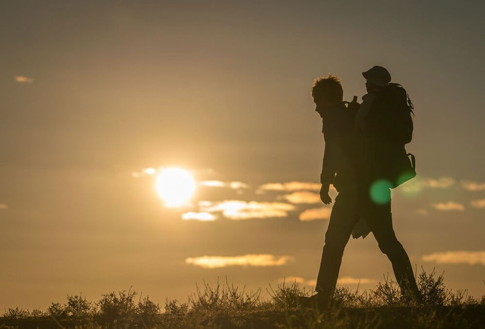 Martin Freeman in "Cargo"