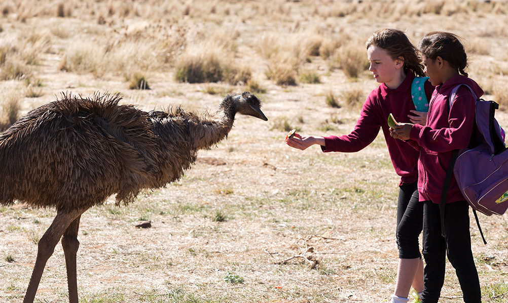A scene from Imogen Thomas' "The Emu Runner"