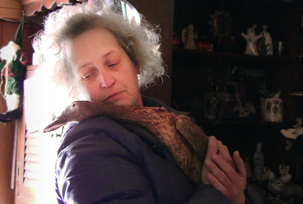 Kathy Murphy in "For the Birds"