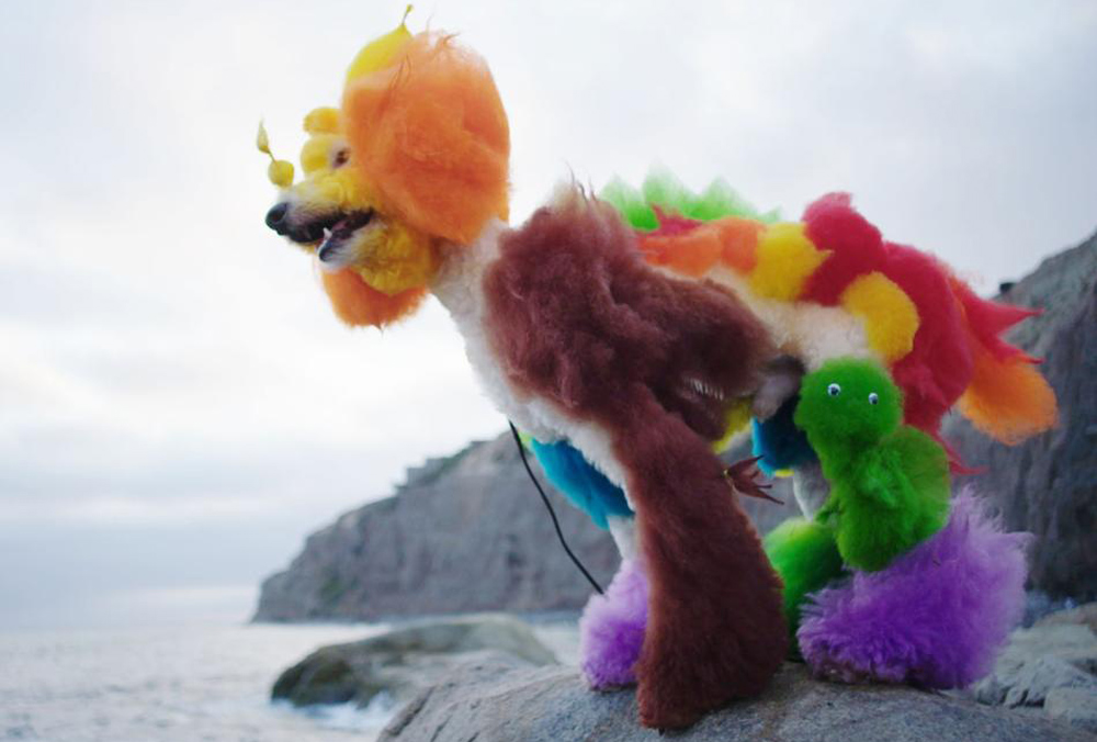 A scene from Rebecca Stern's "Well-Groomed"