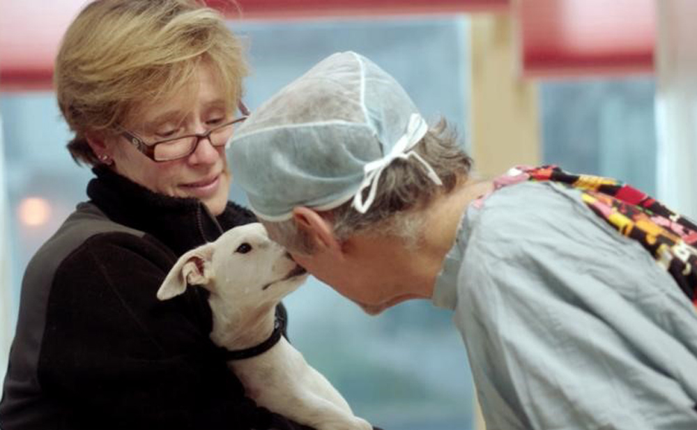 A scene from Cindy Meehl's "The Dog Doc"